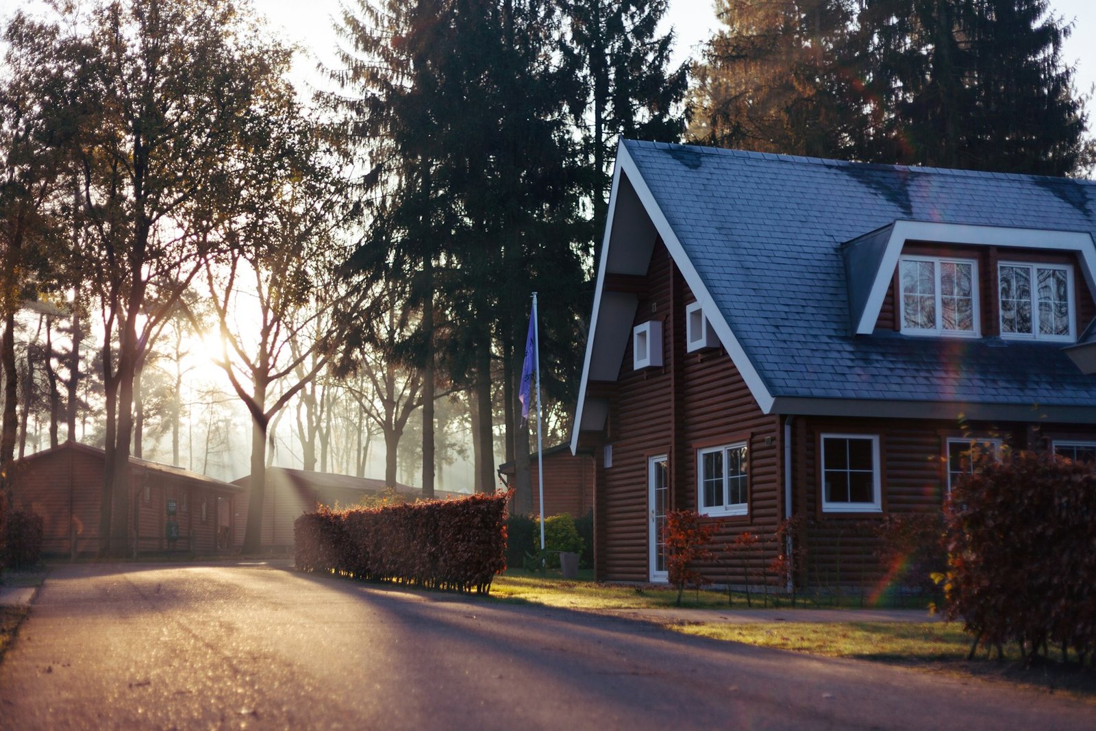 Wood-clad home surrounded by trees